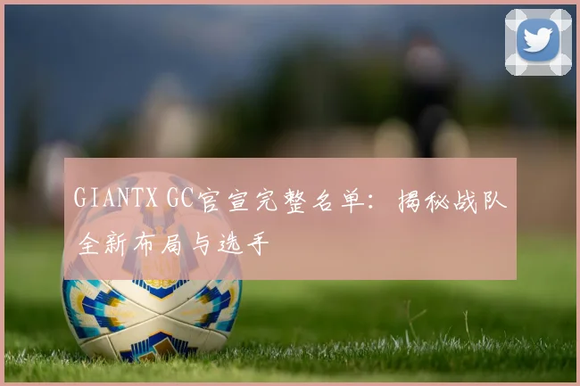 GIANTX GC官宣完整名单:揭秘战队全新布局与选手